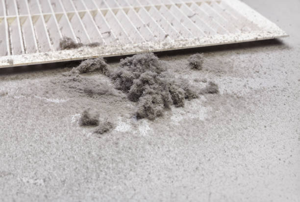 Best Air Duct Cleaning Near Me  in Waggaman, LA