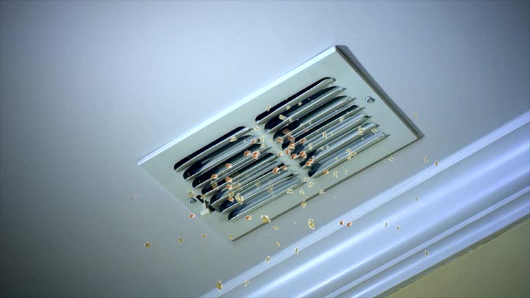 Best Commercial Air Duct Cleaning  in Waggaman, LA