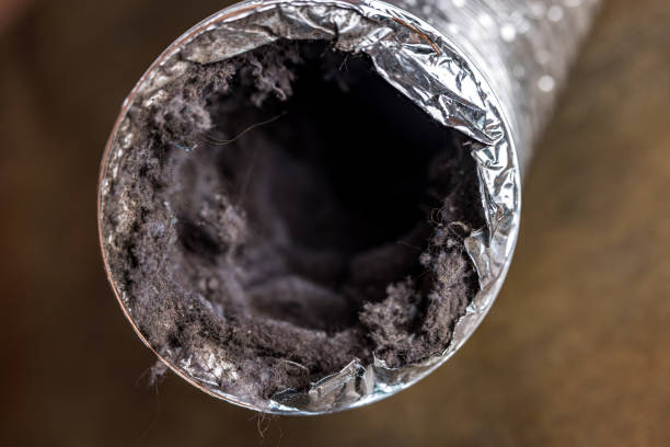 Emergency Air Duct Cleaning in LA